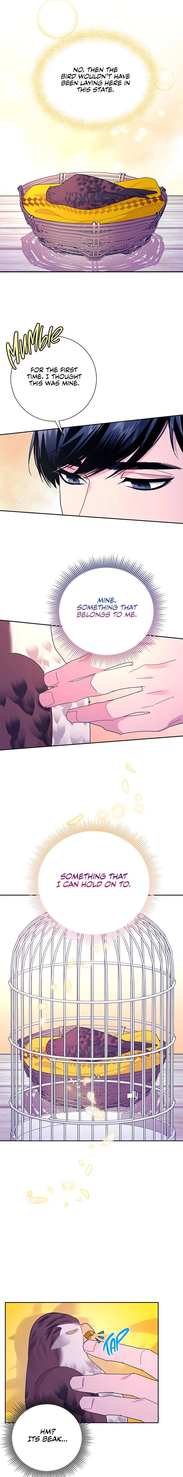 Cavier Falcon Princess Chapter 38 - Page 21