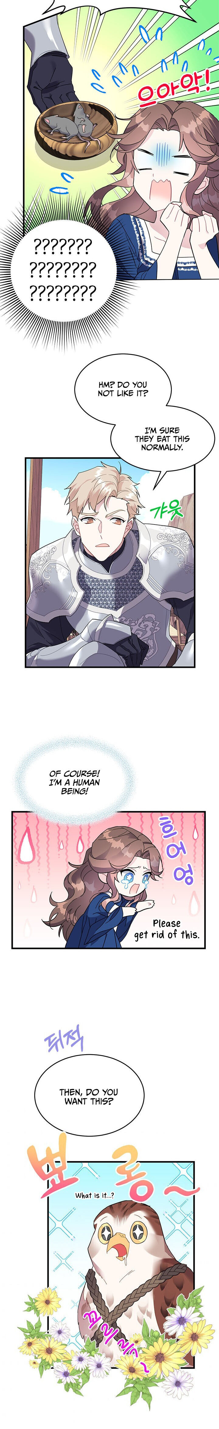 Cavier Falcon Princess Chapter 4 - Page 11