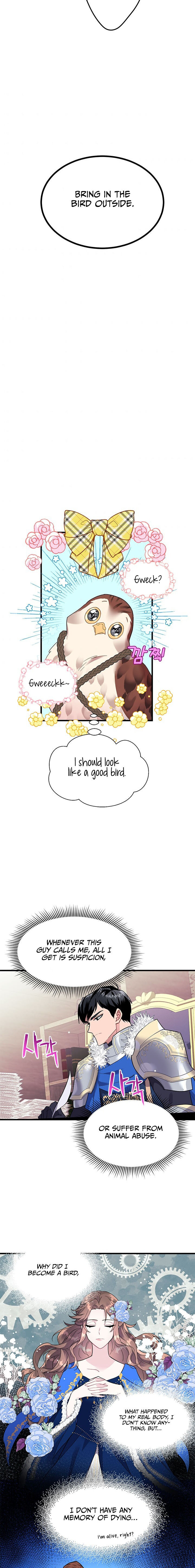 Cavier Falcon Princess Chapter 4 - Page 18