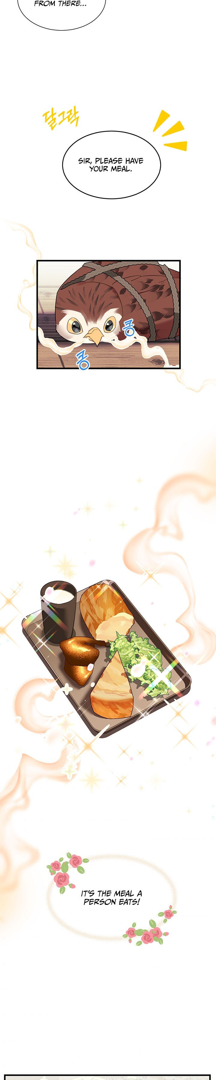 Cavier Falcon Princess Chapter 4 - Page 20