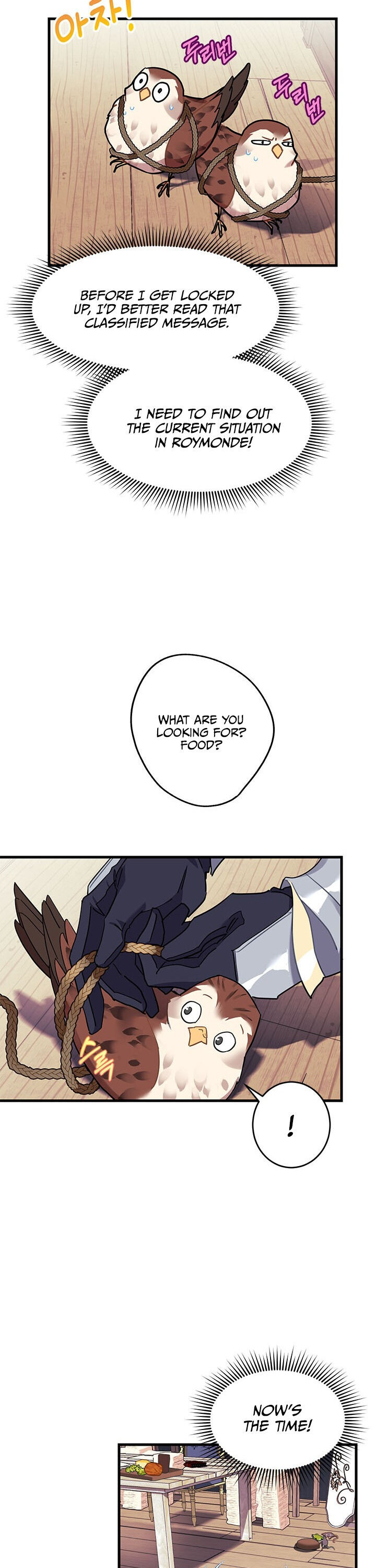 Cavier Falcon Princess Chapter 4 - Page 25