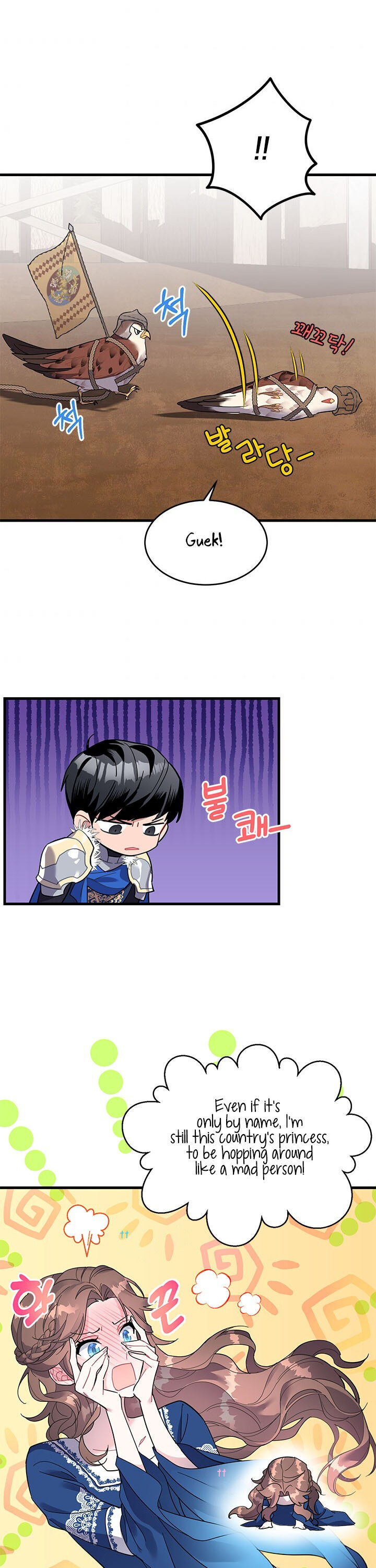 Cavier Falcon Princess Chapter 4 - Page 3