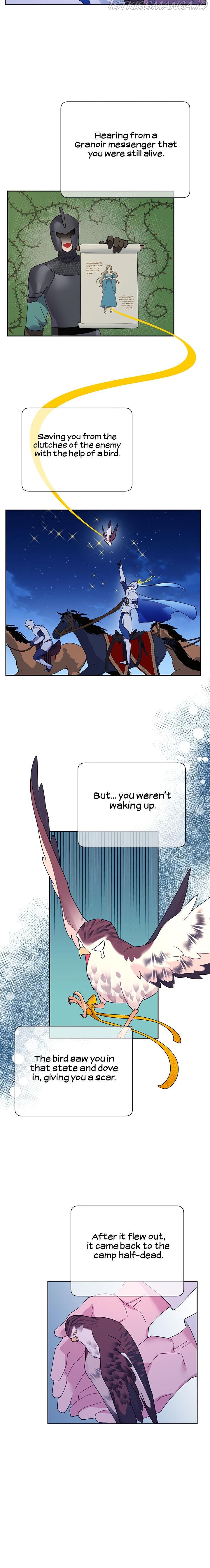 Cavier Falcon Princess Chapter 40 - Page 7