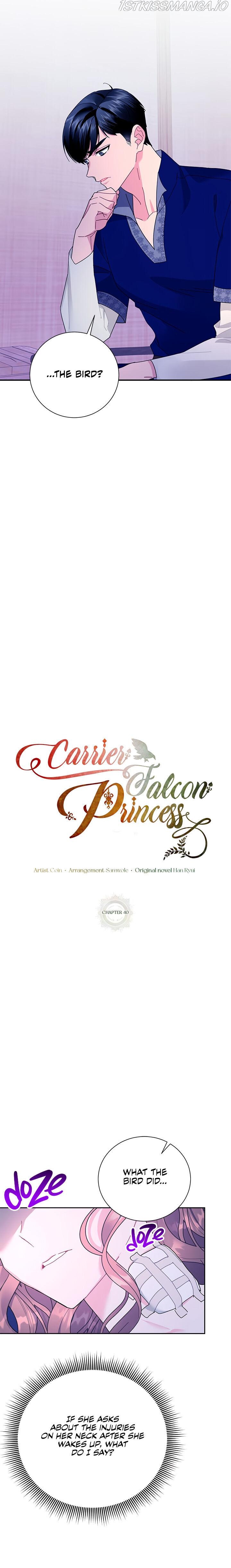 Cavier Falcon Princess Chapter 40 - Page 9