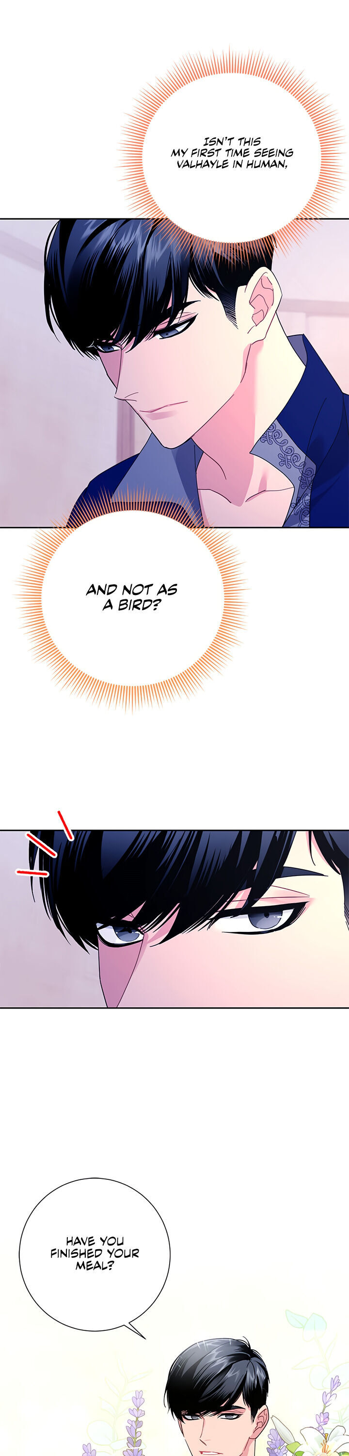 Cavier Falcon Princess Chapter 41 - Page 13