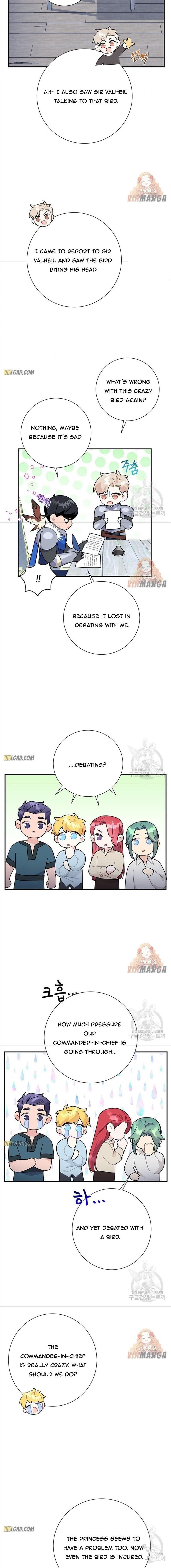 Cavier Falcon Princess Chapter 43 - Page 13