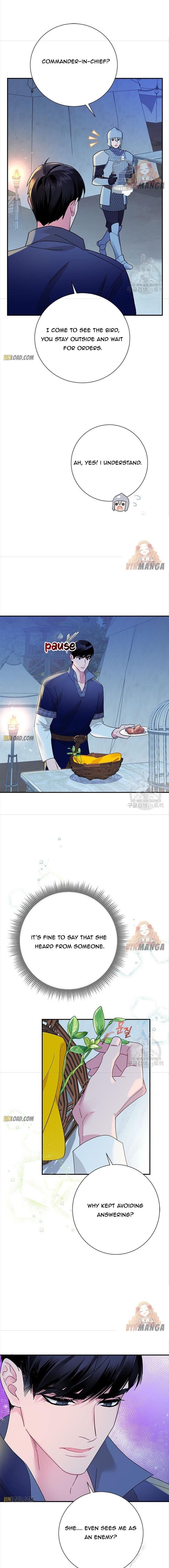 Cavier Falcon Princess Chapter 43 - Page 3