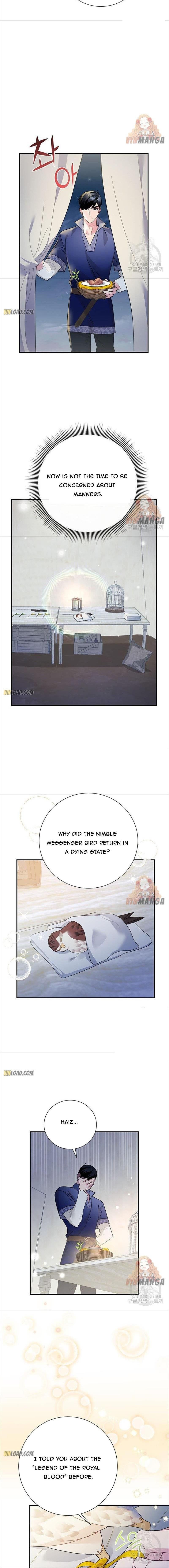 Cavier Falcon Princess Chapter 43 - Page 4