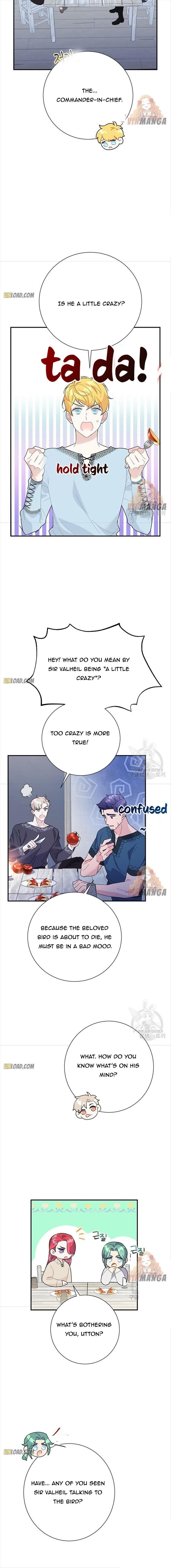 Cavier Falcon Princess Chapter 43 - Page 8