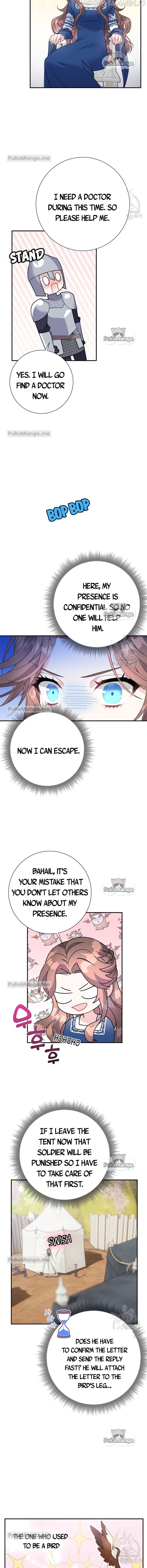 Cavier Falcon Princess Chapter 45 - Page 3