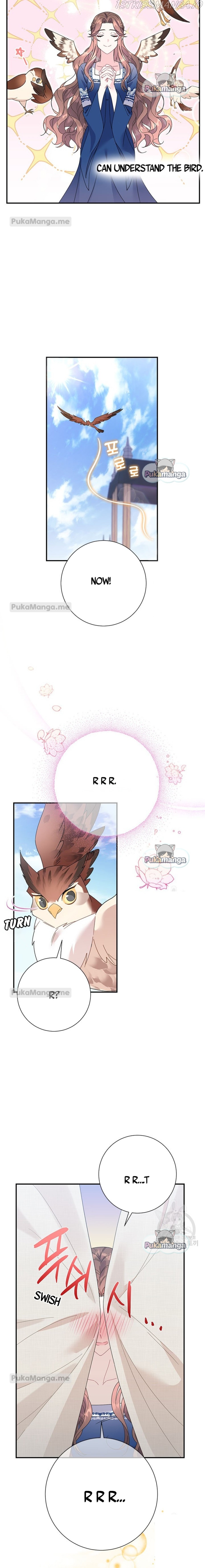 Cavier Falcon Princess Chapter 45 - Page 4