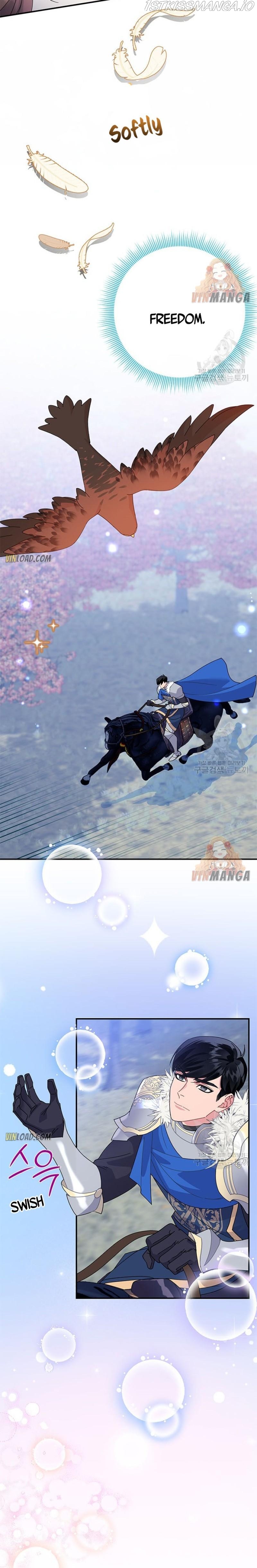 Cavier Falcon Princess Chapter 46 - Page 22