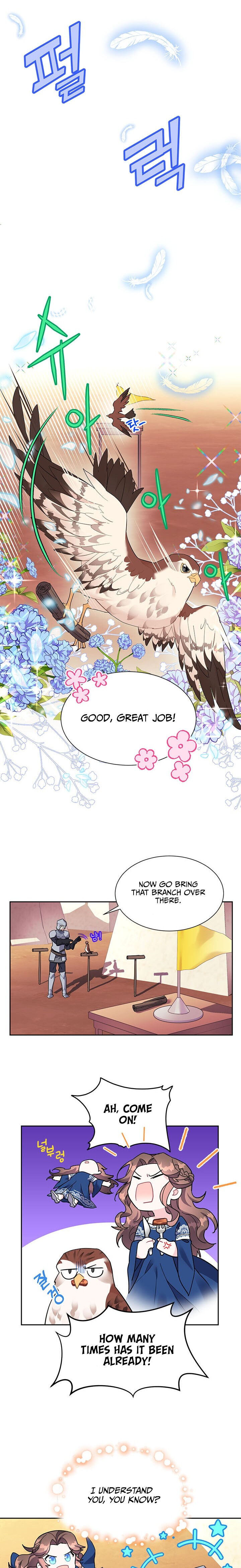 Cavier Falcon Princess Chapter 5 - Page 13