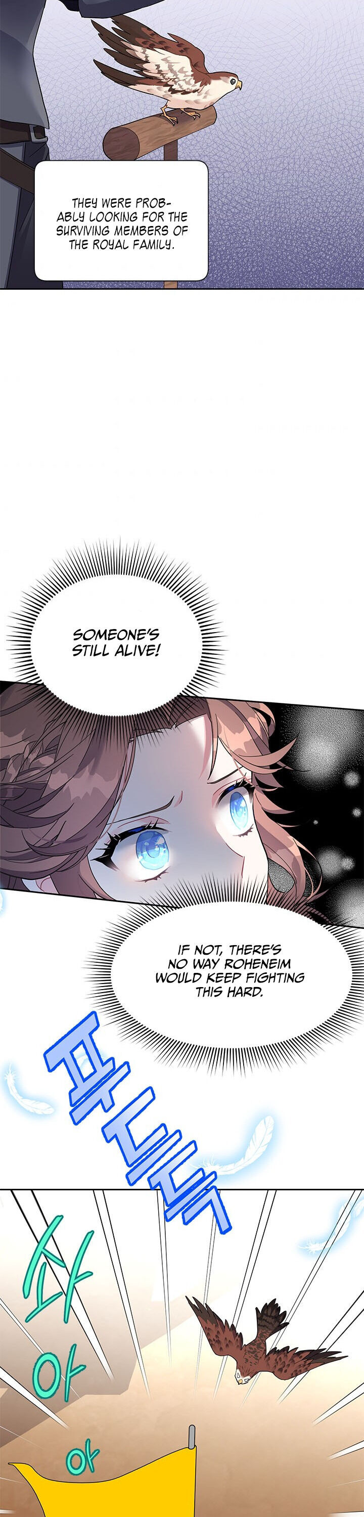Cavier Falcon Princess Chapter 5 - Page 15
