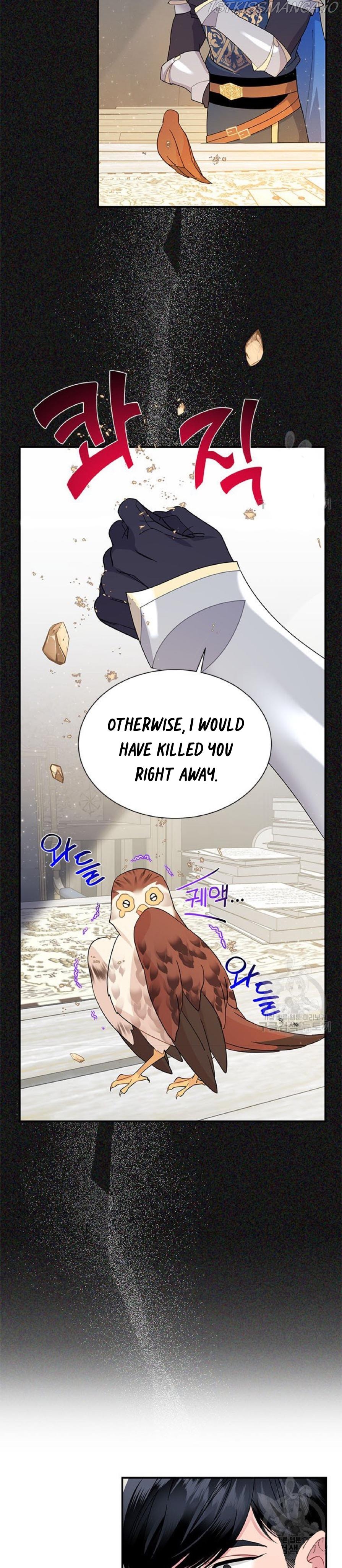 Cavier Falcon Princess Chapter 59 - Page 24