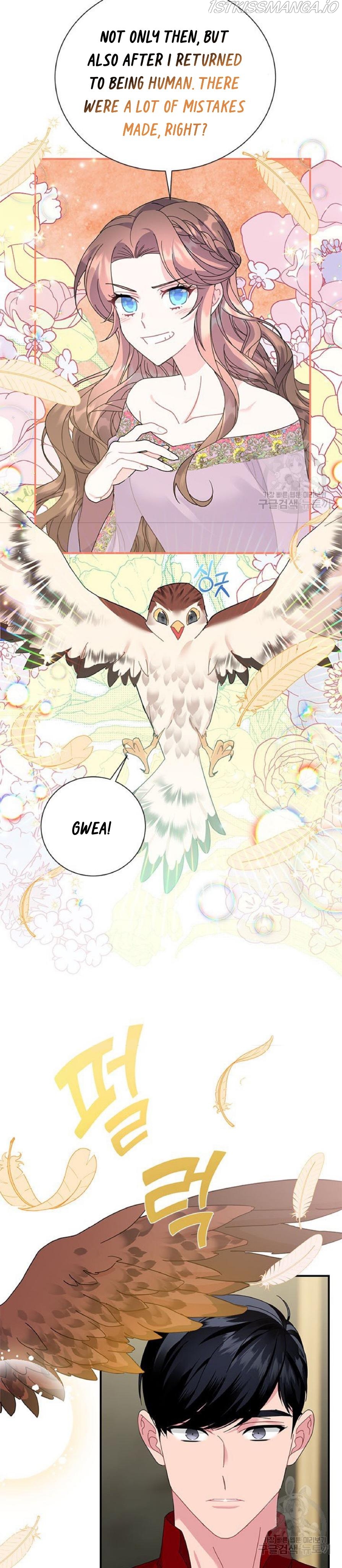 Cavier Falcon Princess Chapter 59 - Page 30