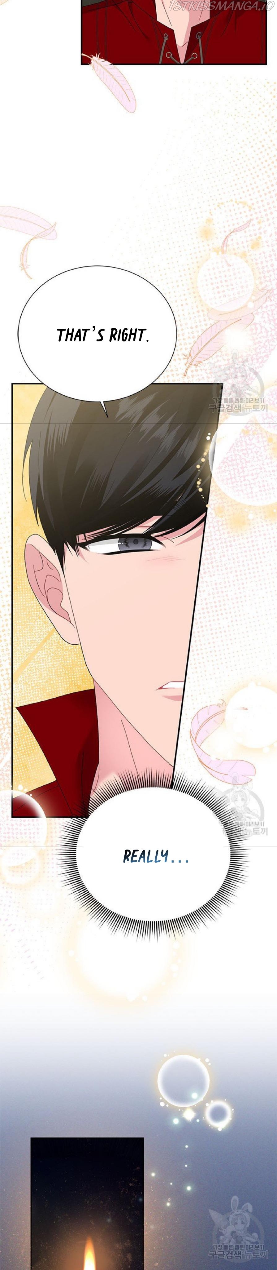 Cavier Falcon Princess Chapter 59 - Page 31