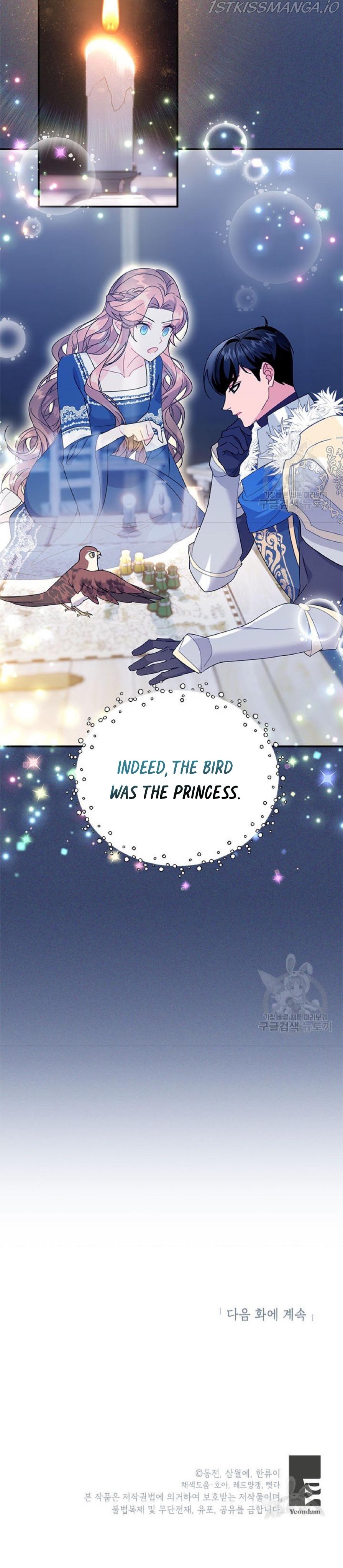 Cavier Falcon Princess Chapter 59 - Page 32