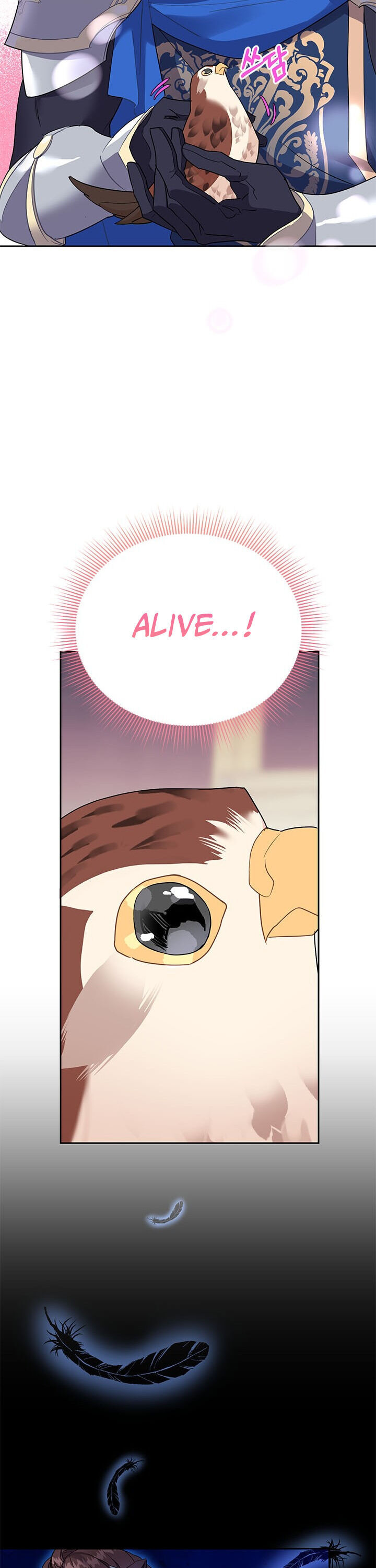 Cavier Falcon Princess Chapter 6 - Page 22