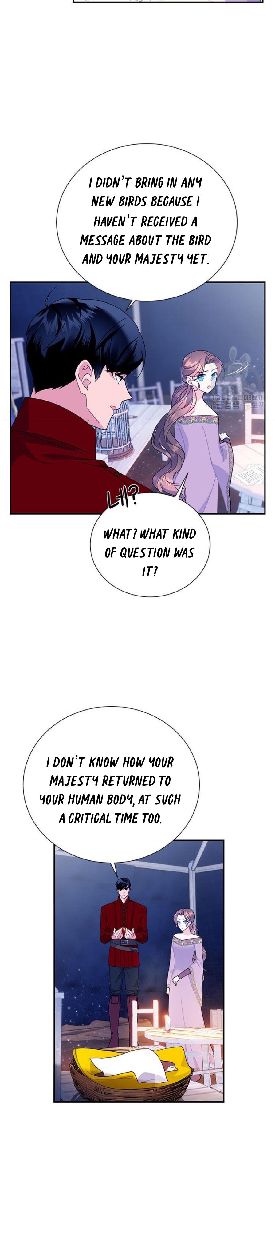 Cavier Falcon Princess Chapter 60 - Page 6