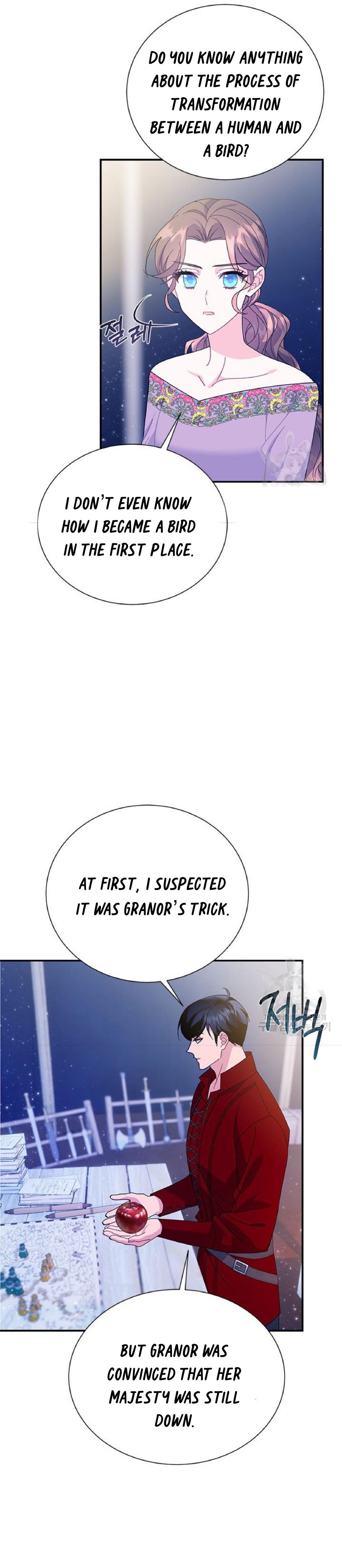 Cavier Falcon Princess Chapter 60 - Page 7