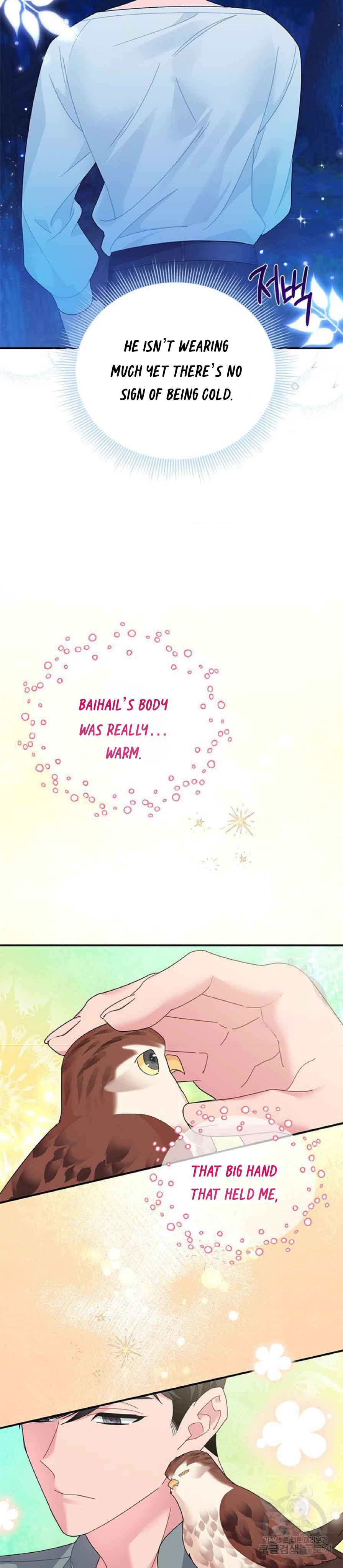 Cavier Falcon Princess Chapter 62 - Page 13