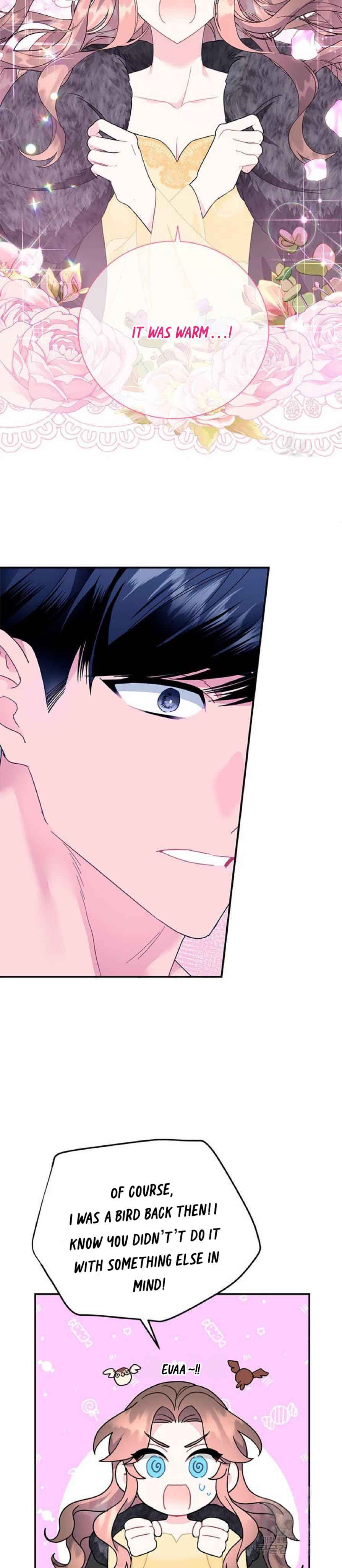 Cavier Falcon Princess Chapter 62 - Page 18