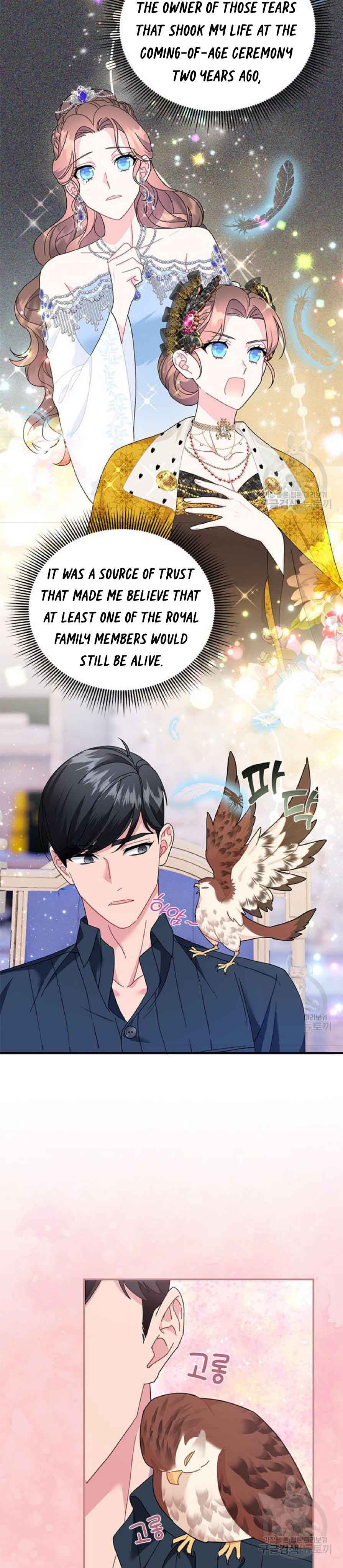 Cavier Falcon Princess Chapter 62 - Page 3