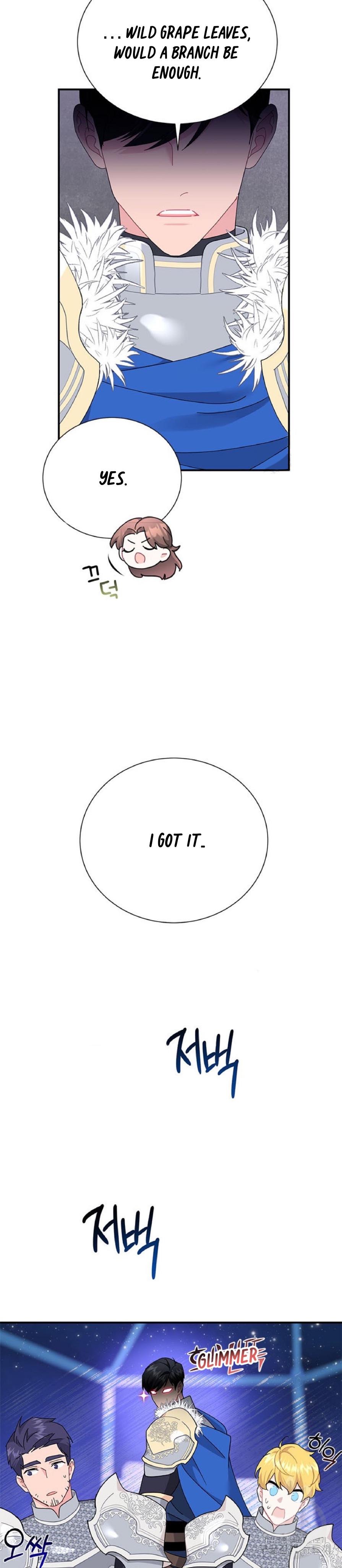 Cavier Falcon Princess Chapter 63 - Page 16