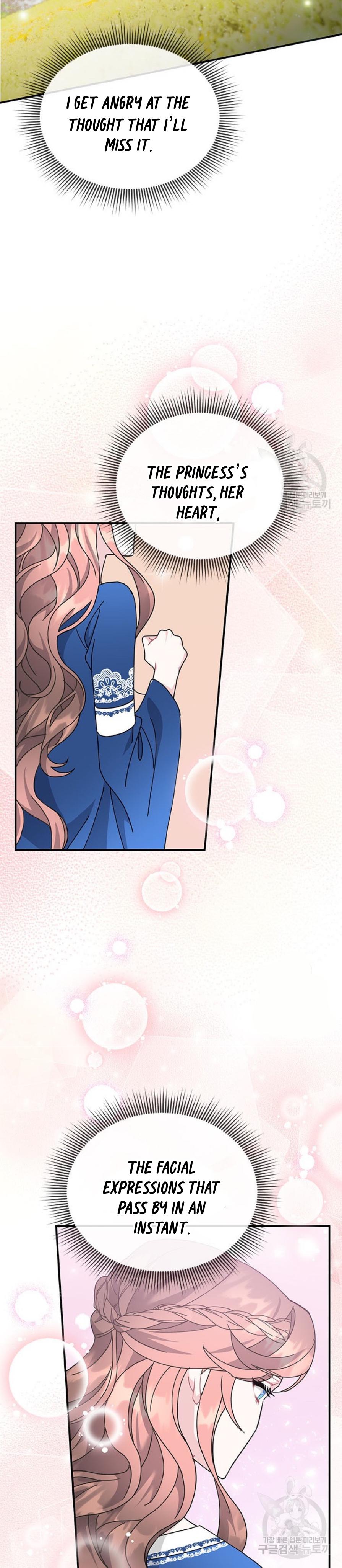 Cavier Falcon Princess Chapter 63 - Page 27