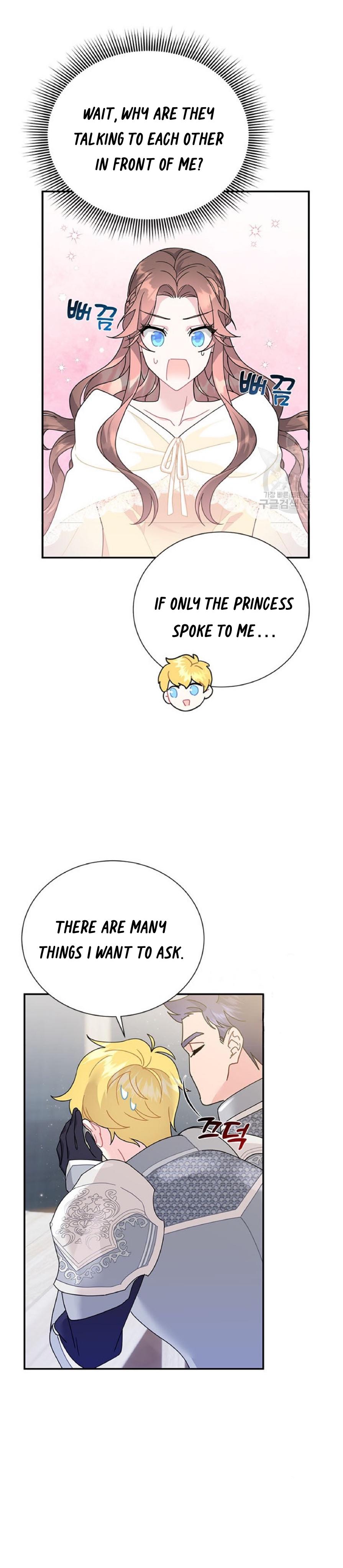 Cavier Falcon Princess Chapter 63 - Page 4