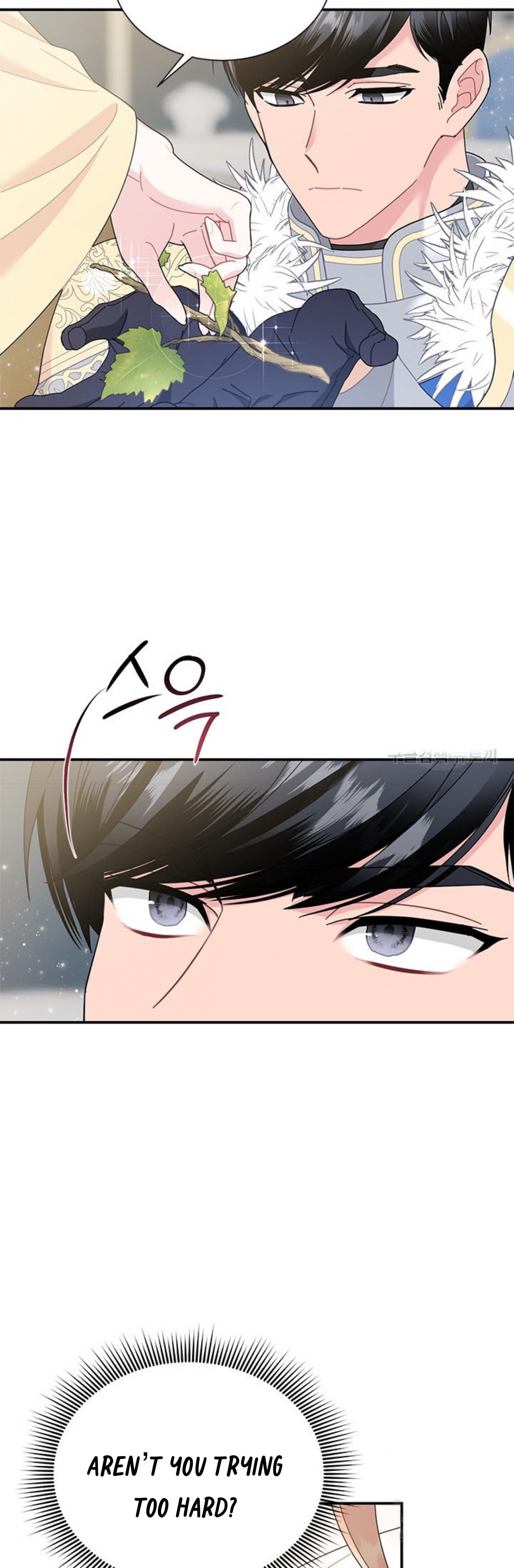 Cavier Falcon Princess Chapter 64 - Page 2