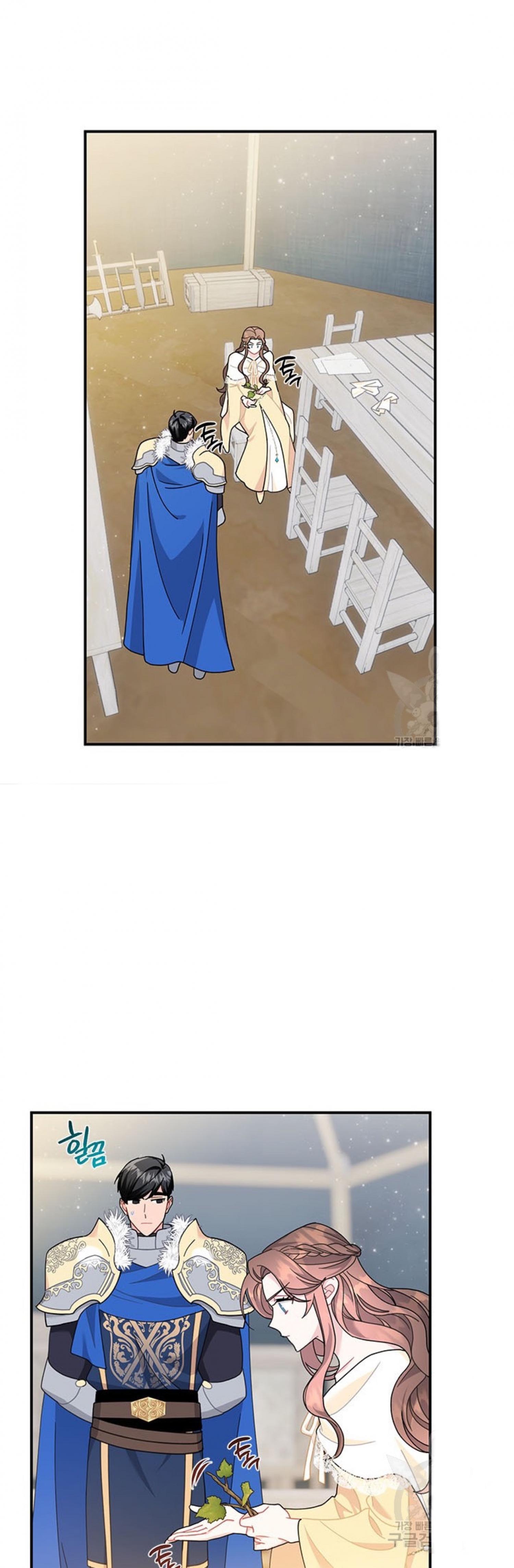 Cavier Falcon Princess Chapter 64 - Page 27