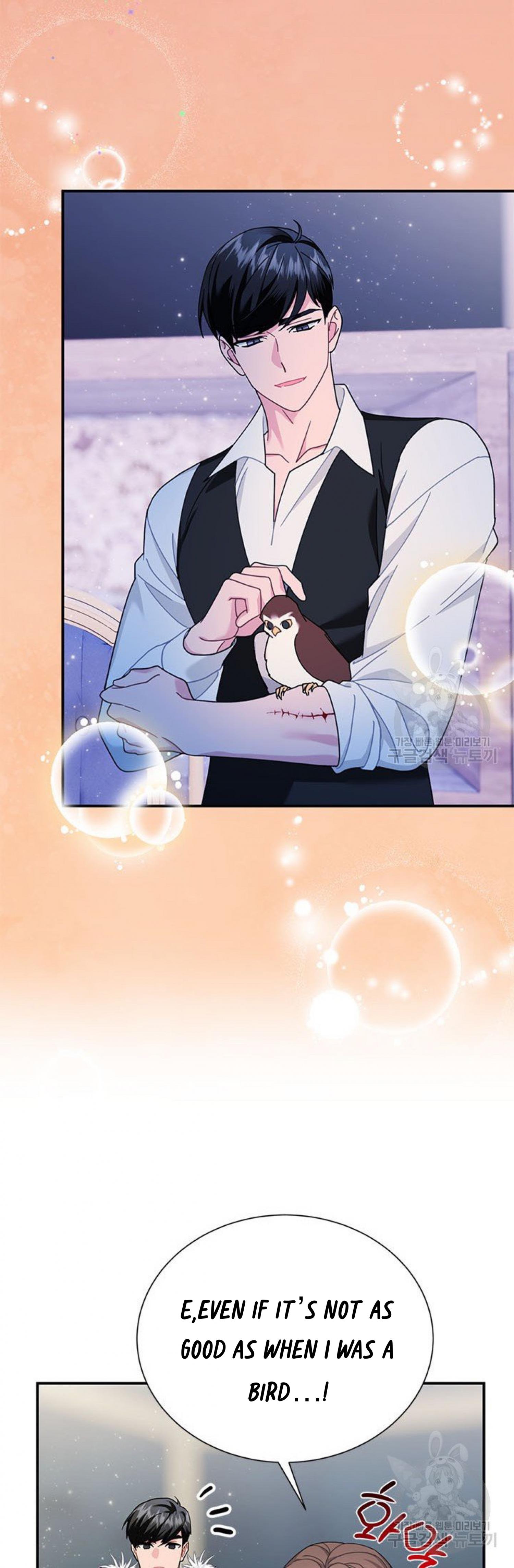 Cavier Falcon Princess Chapter 64 - Page 37