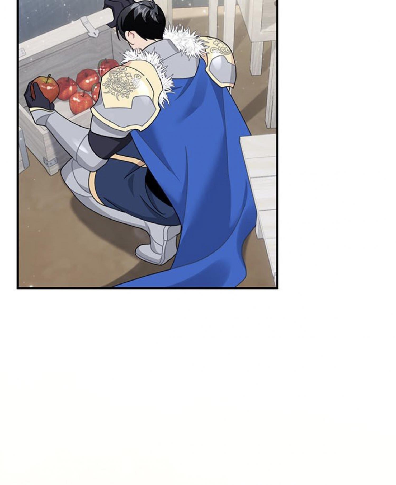 Cavier Falcon Princess Chapter 64 - Page 45