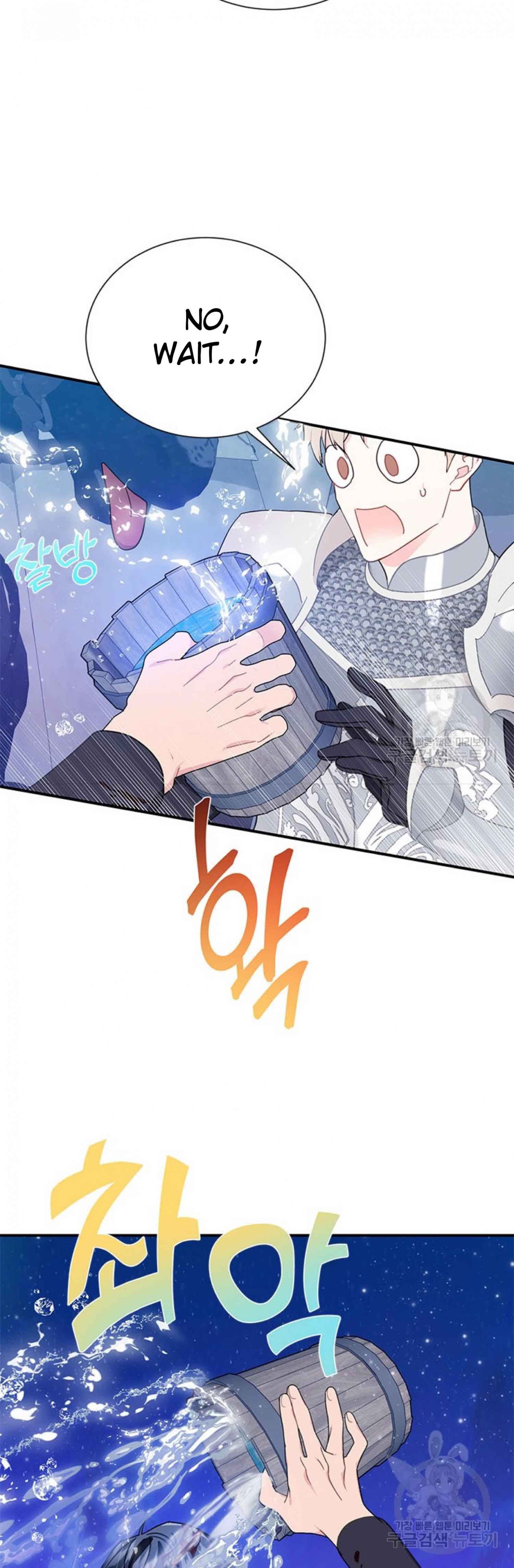 Cavier Falcon Princess Chapter 65 - Page 17