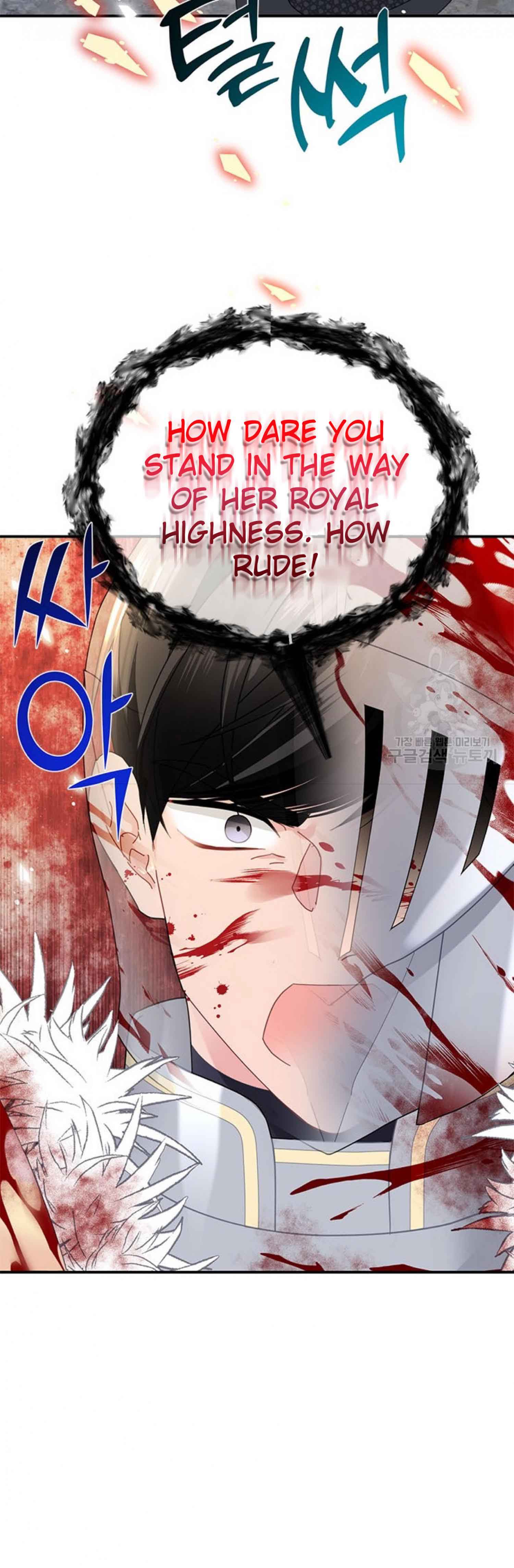 Cavier Falcon Princess Chapter 65 - Page 4