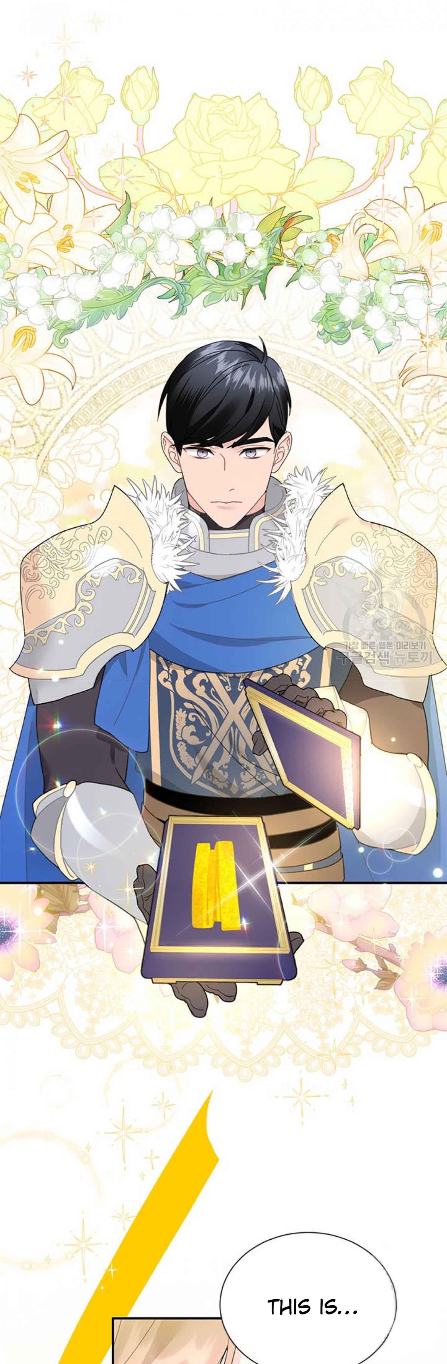 Cavier Falcon Princess Chapter 65 - Page 43