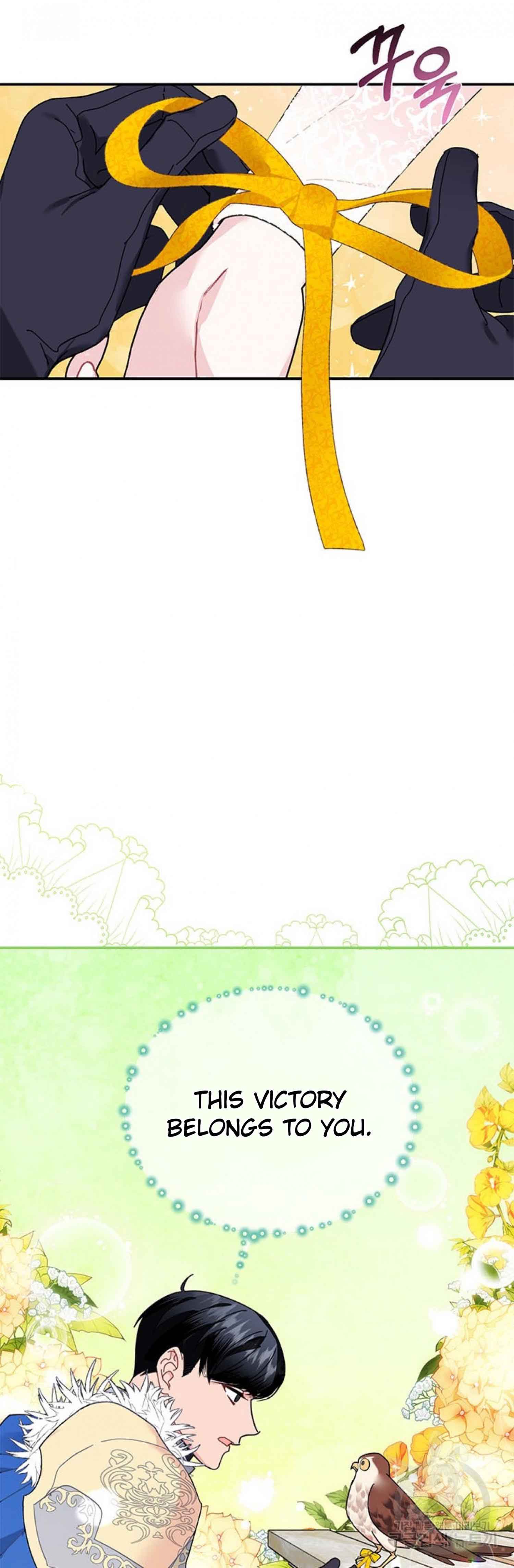 Cavier Falcon Princess Chapter 65 - Page 46