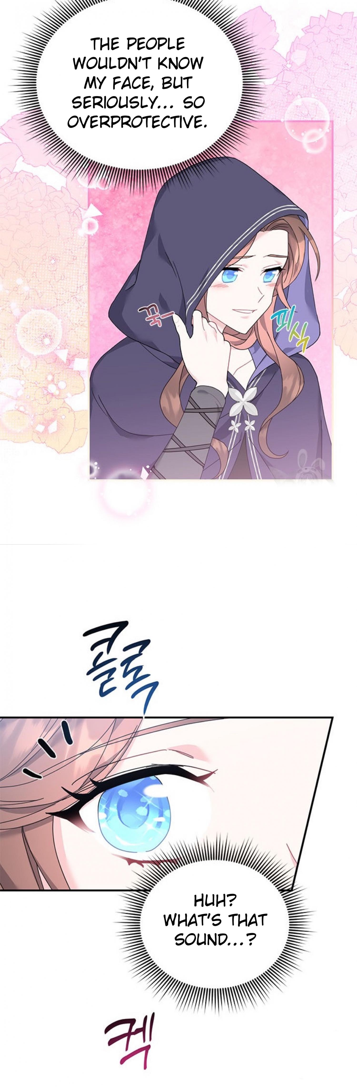 Cavier Falcon Princess Chapter 66 - Page 27