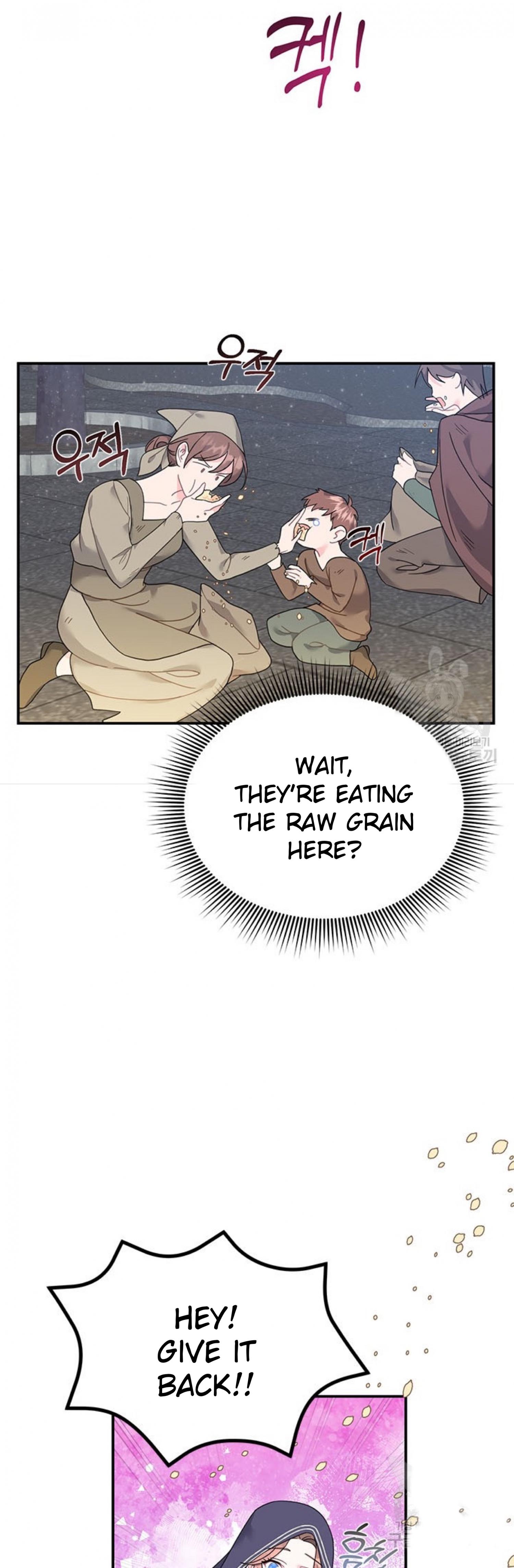 Cavier Falcon Princess Chapter 66 - Page 28