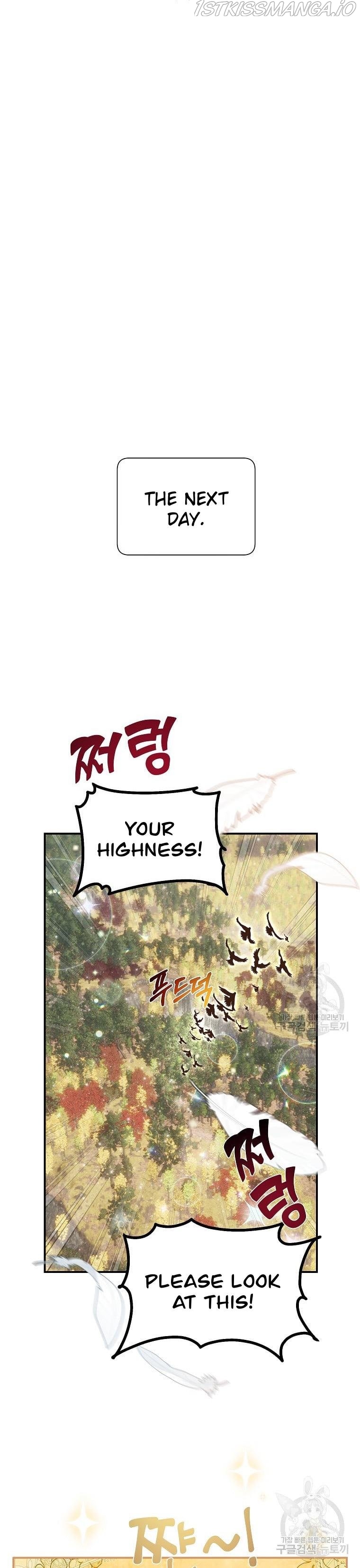 Cavier Falcon Princess Chapter 68 - Page 11