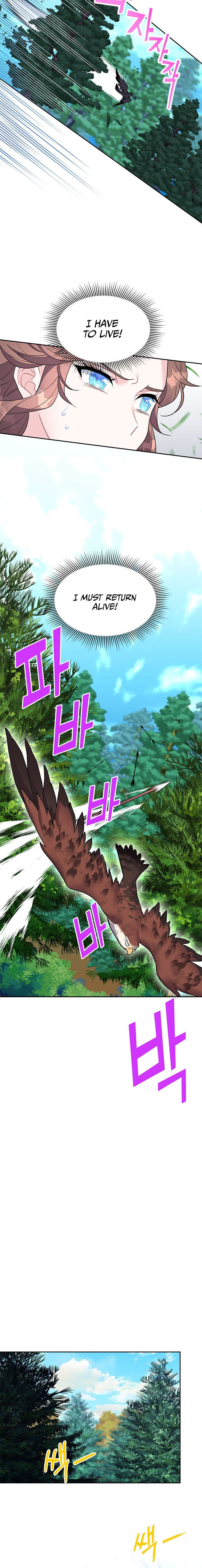 Cavier Falcon Princess Chapter 7 - Page 12