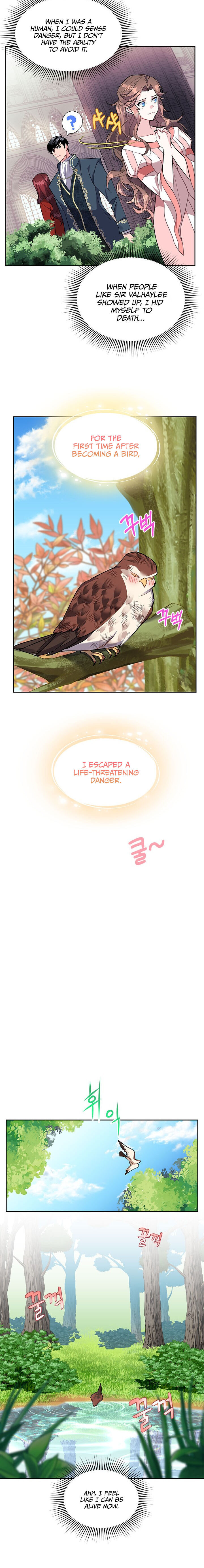 Cavier Falcon Princess Chapter 7 - Page 14