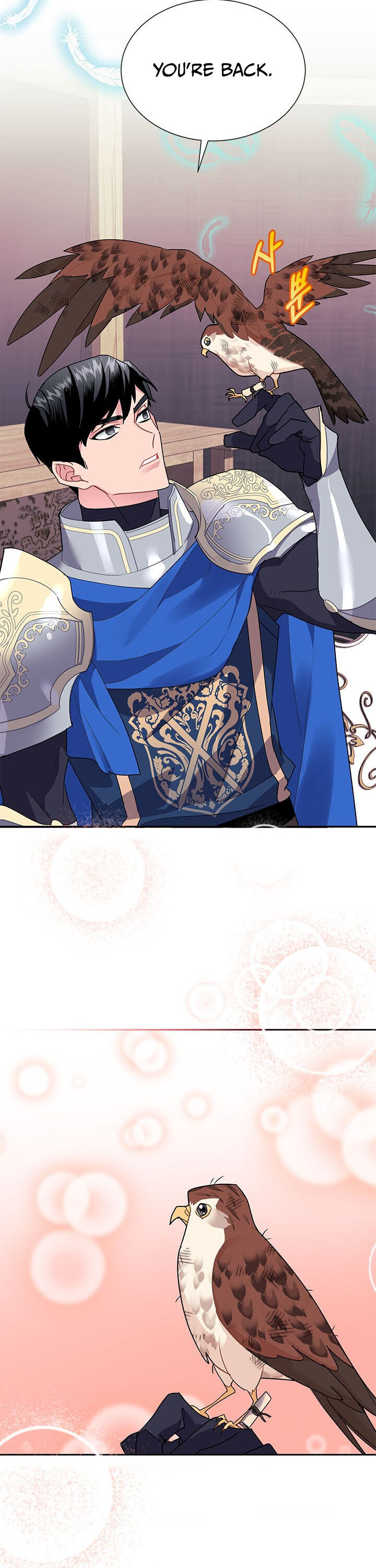 Cavier Falcon Princess Chapter 7 - Page 21