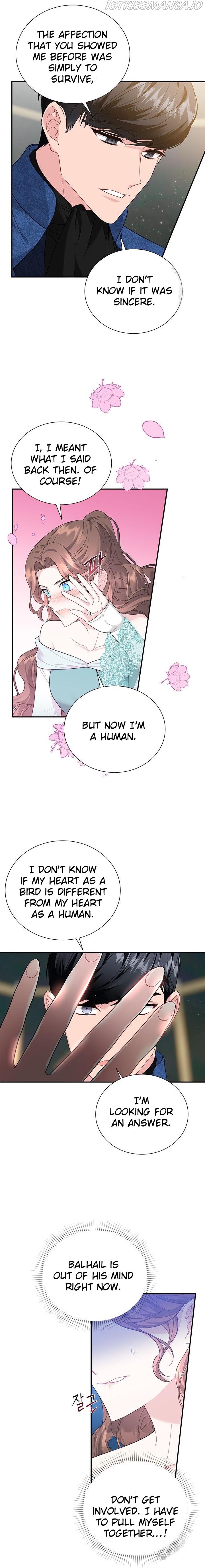 Cavier Falcon Princess Chapter 70 - Page 6