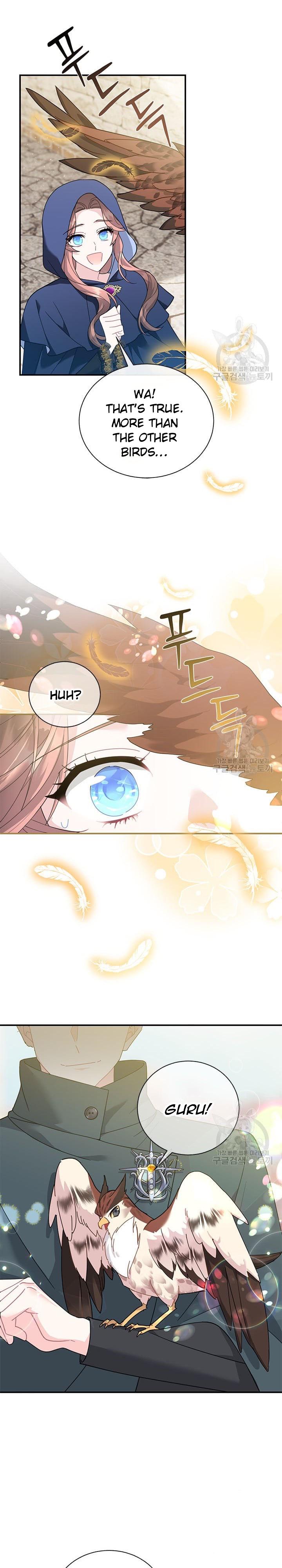 Cavier Falcon Princess Chapter 71 - Page 22