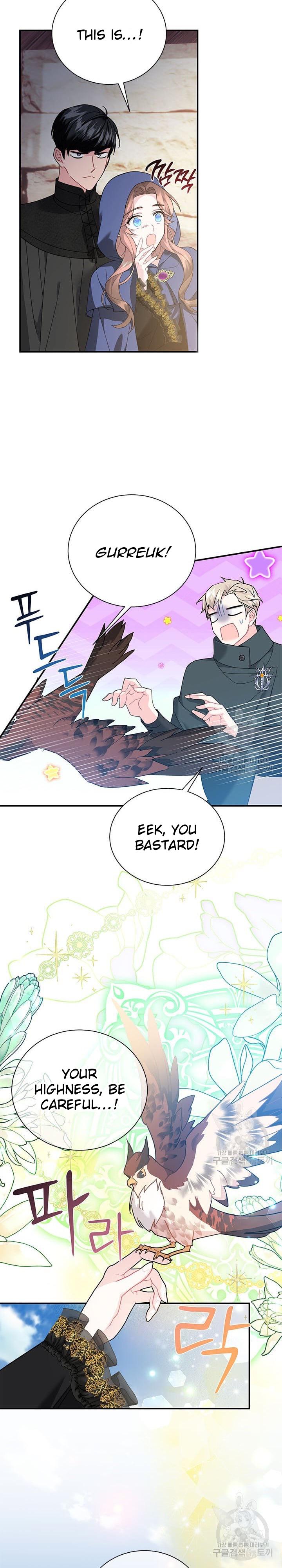 Cavier Falcon Princess Chapter 71 - Page 23