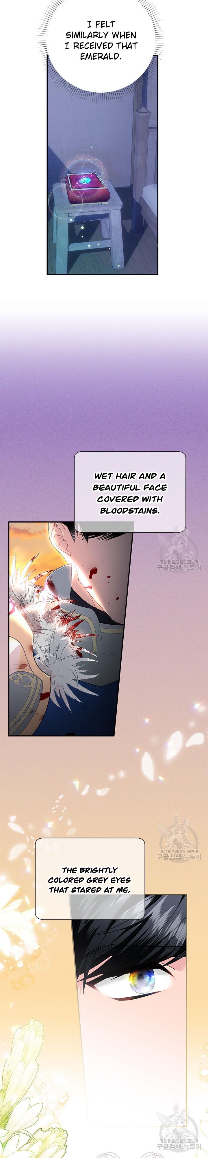 Cavier Falcon Princess Chapter 71 - Page 5