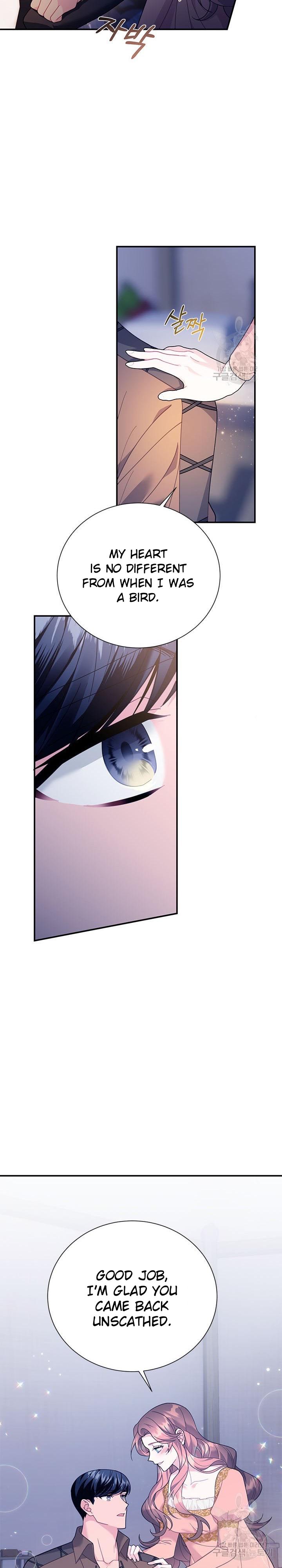 Cavier Falcon Princess Chapter 71 - Page 9